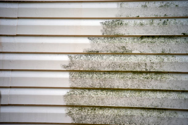 Professional Siding Installation & Repair in Phillipsburg, NJ