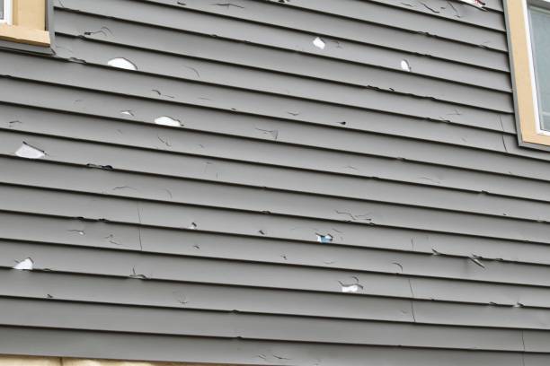 Best Composite Siding  in Phillipsburg, NJ