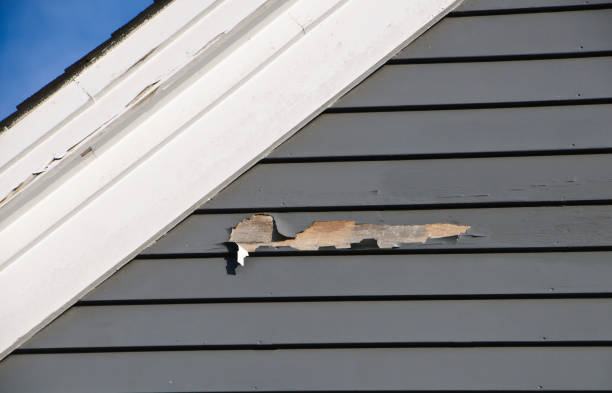 Best Storm Damage Siding Repair  in Phillipsburg, NJ