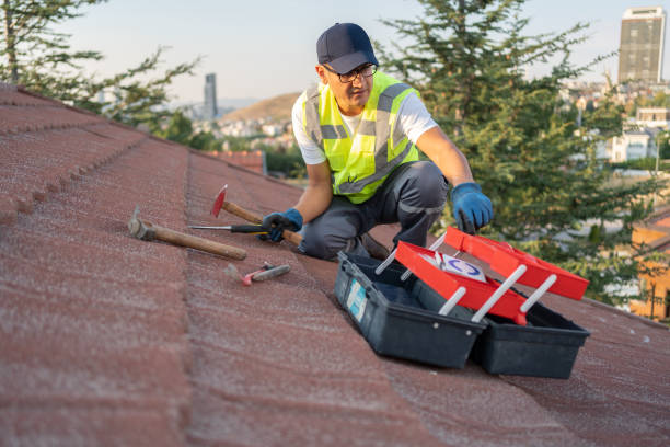 Best Brick Veneer Siding  in Phillipsburg, NJ